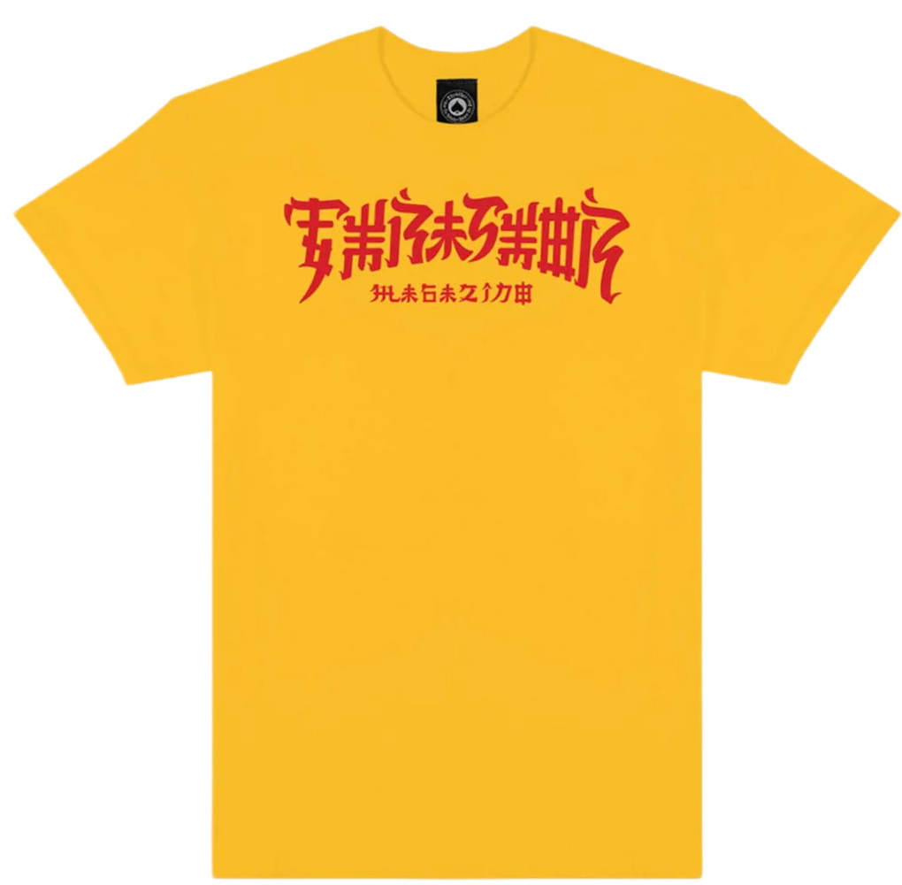 Thrasher майка Chinatown