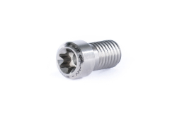 Ethic clamp titanium screw Raw